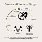 HORMONE & MOOD SUPPORT