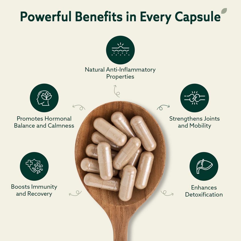 SimpleMe 10 in 1 Daily Power Blend