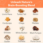 SimpleMe Multi-Mushroom Supplement