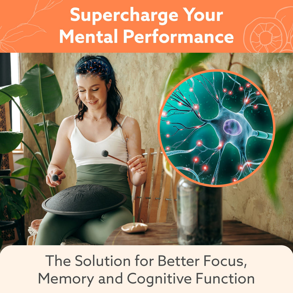 SimpleMe Multi-Mushroom Supplement