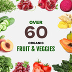 Plant Based Sport Protein