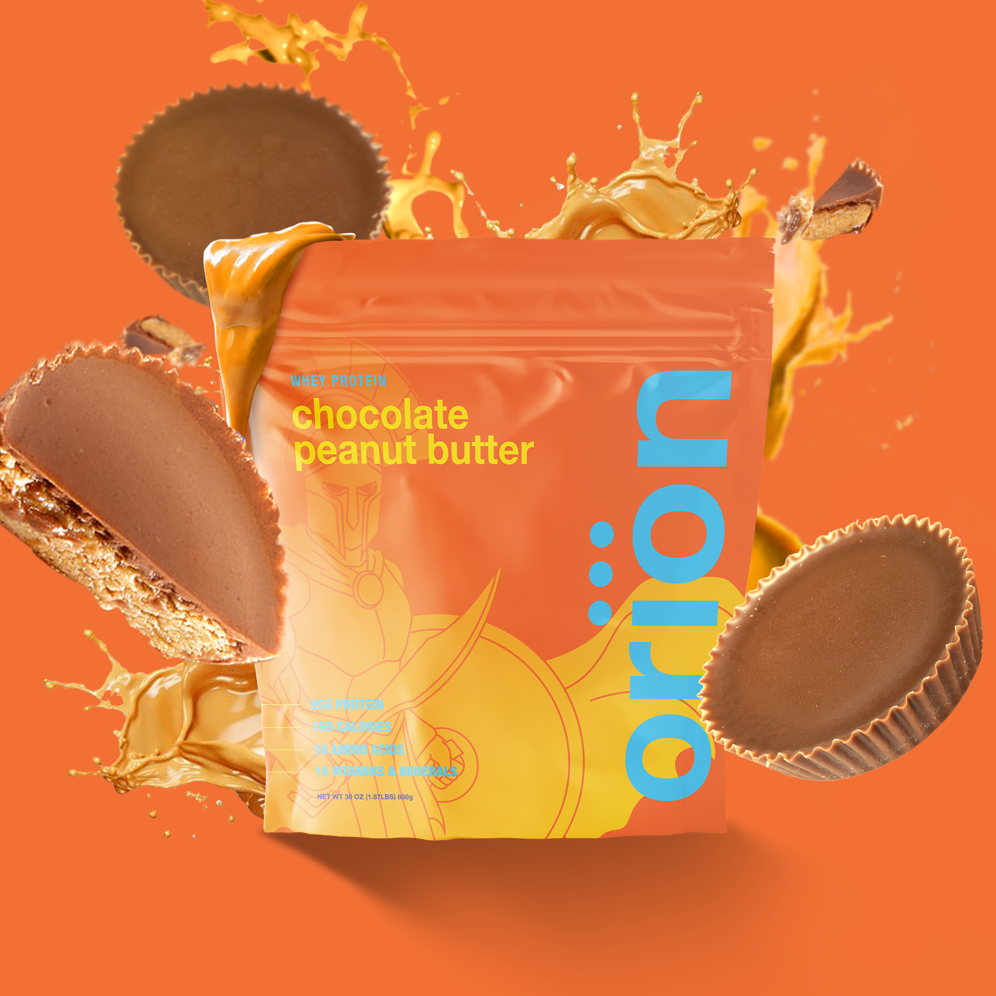 Orion Whey Protein Powder